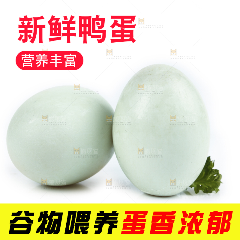 白底上的鸭蛋