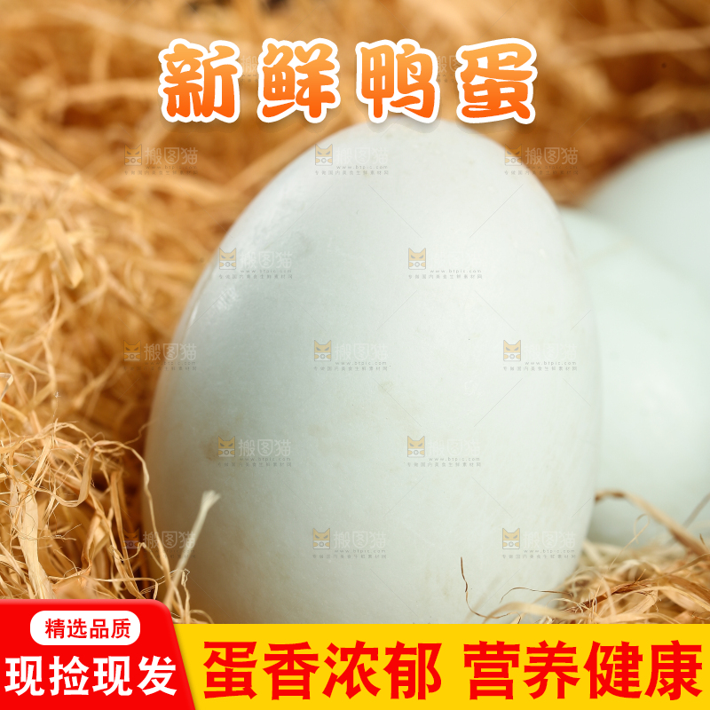 深底上的鸭蛋