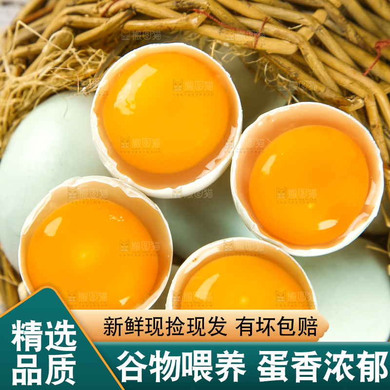 浅底上的鸭蛋