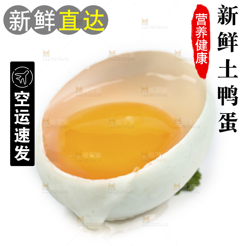 白底上的鸭蛋