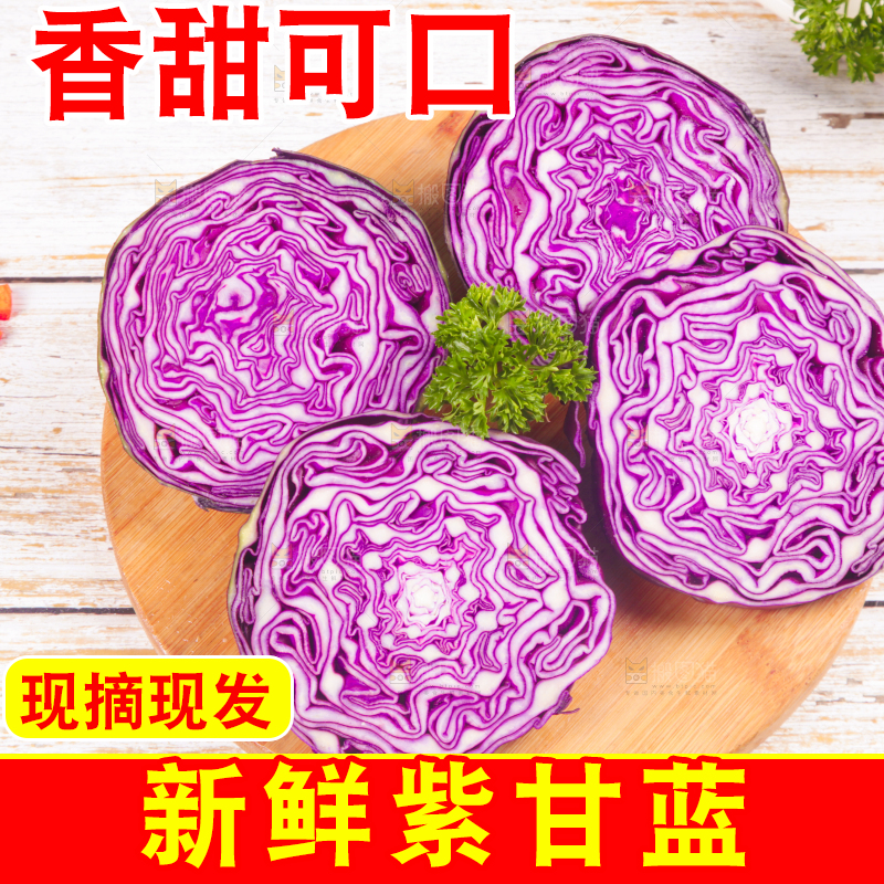 浅底上的紫甘蓝