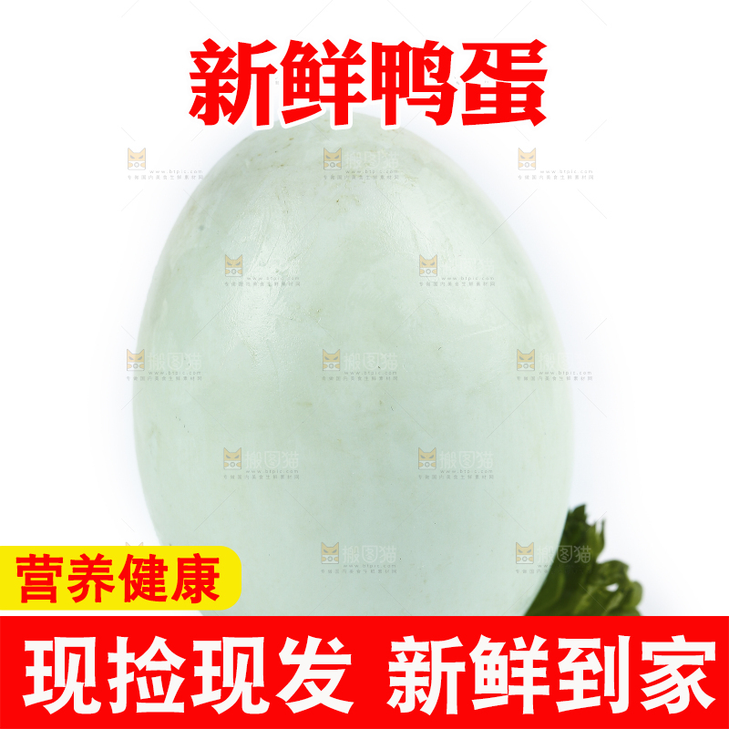 白底上的鸭蛋