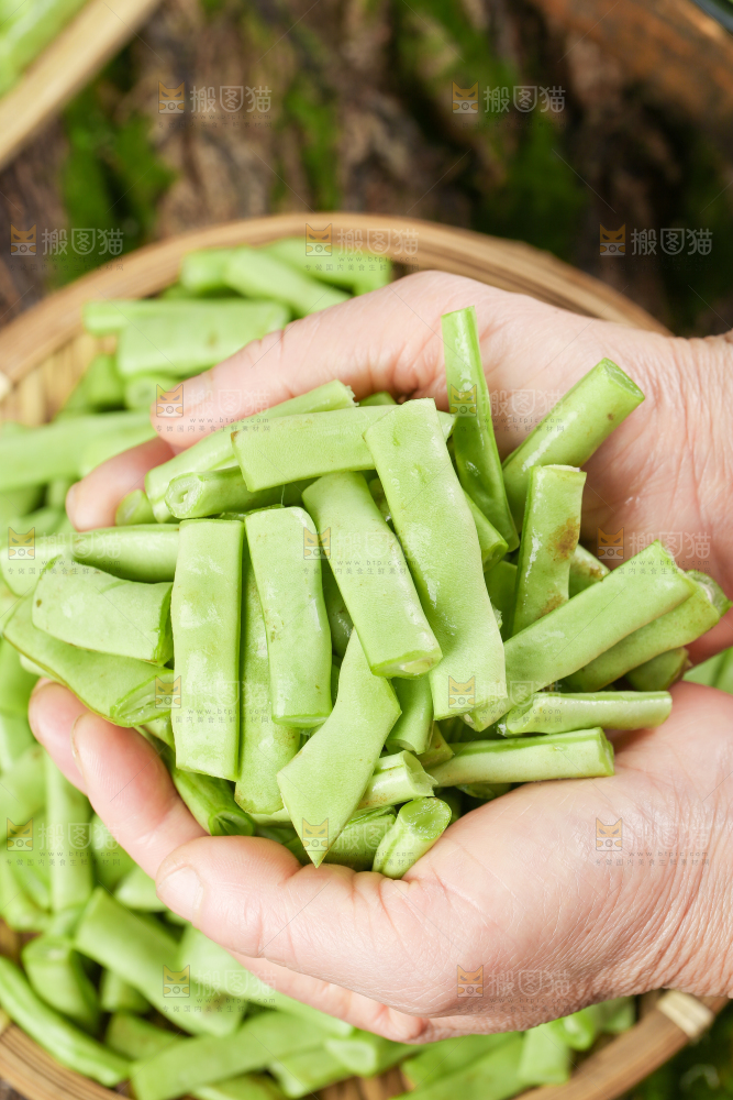 木底上的四季豆