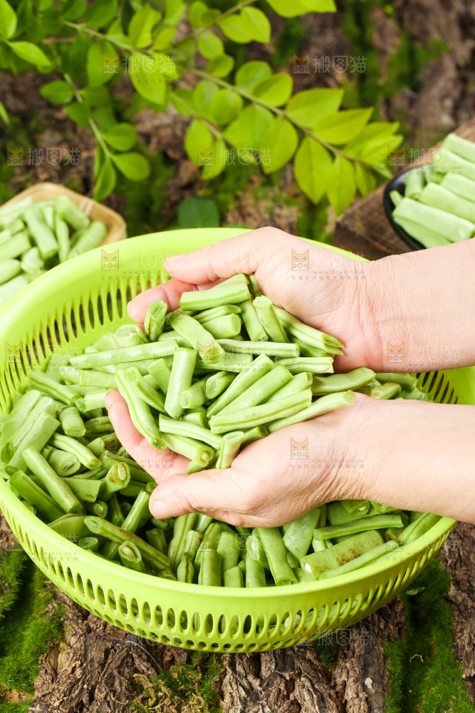 木底上的四季豆