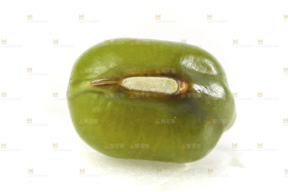白底上的绿豆