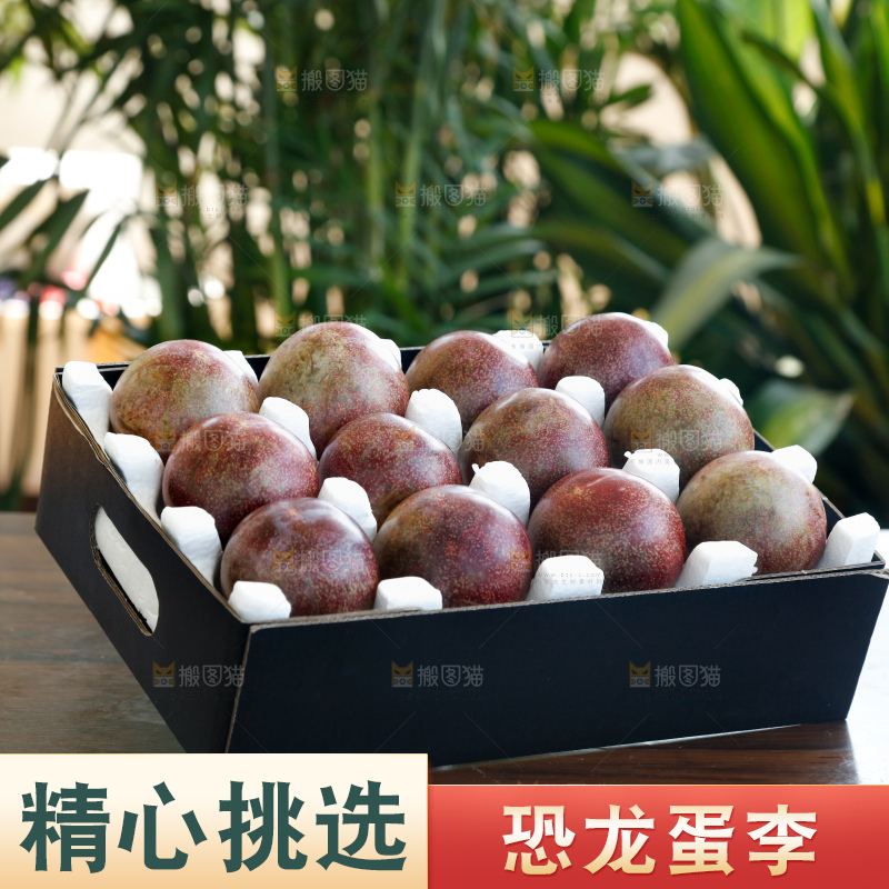 手里拿着恐龙蛋李
