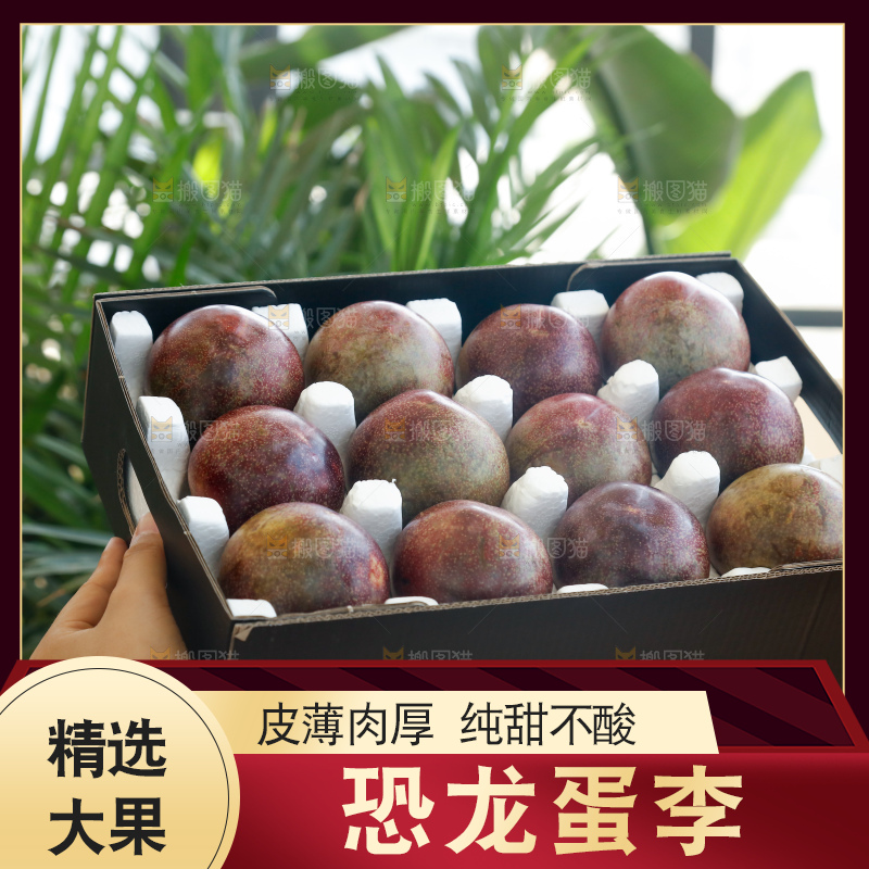 手里拿着恐龙蛋李