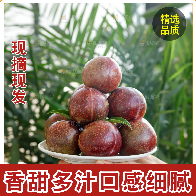 手里拿着恐龙蛋李