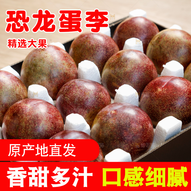 手里拿着恐龙蛋李