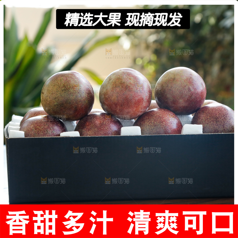 手里拿着恐龙蛋李