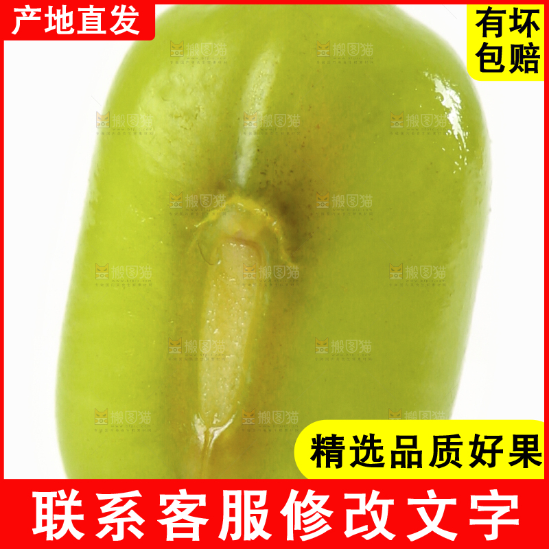 白底上的绿豆
