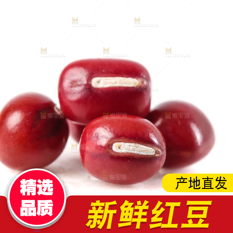 白底上的红豆