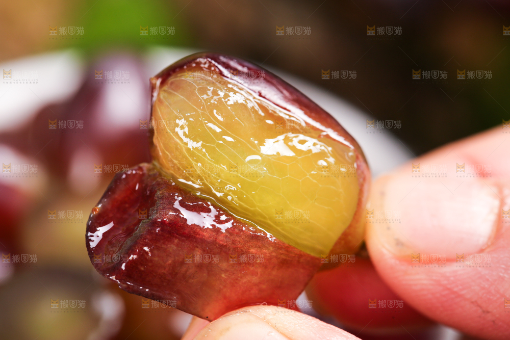 木底上的茉莉香葡萄
