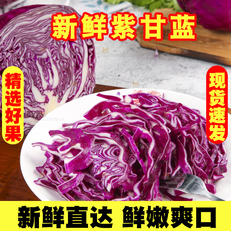 浅底上的紫甘蓝