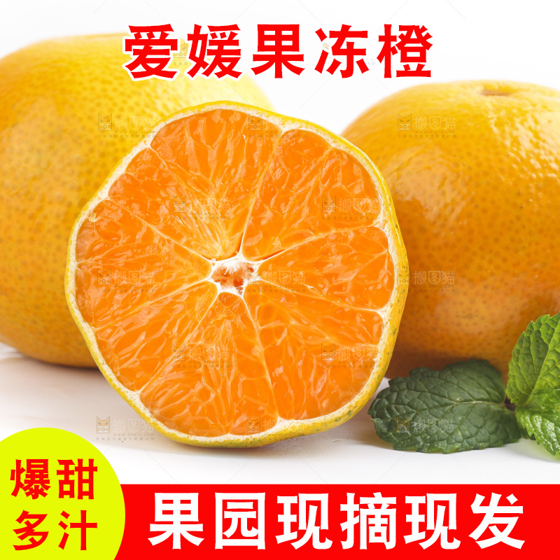 白底上的爱媛果冻橙