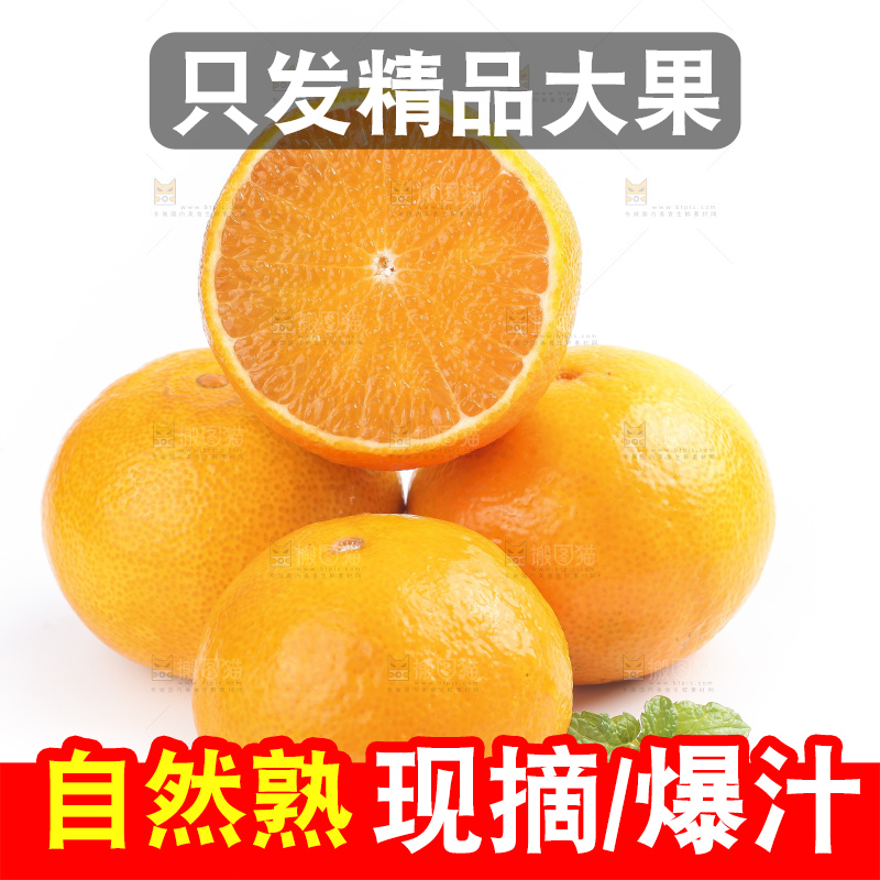 白底上的爱媛果冻橙