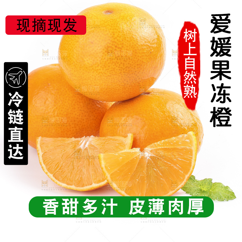 白底上的爱媛果冻橙
