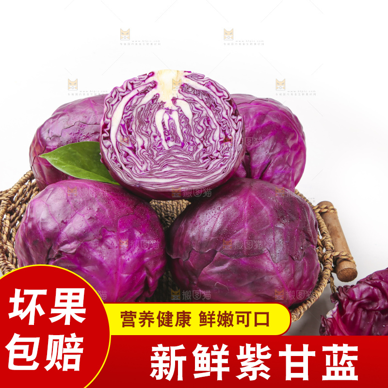 白底上的紫甘蓝
