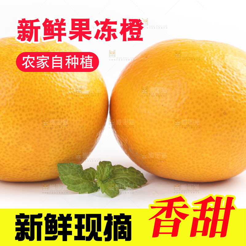 白底上的爱媛果冻橙