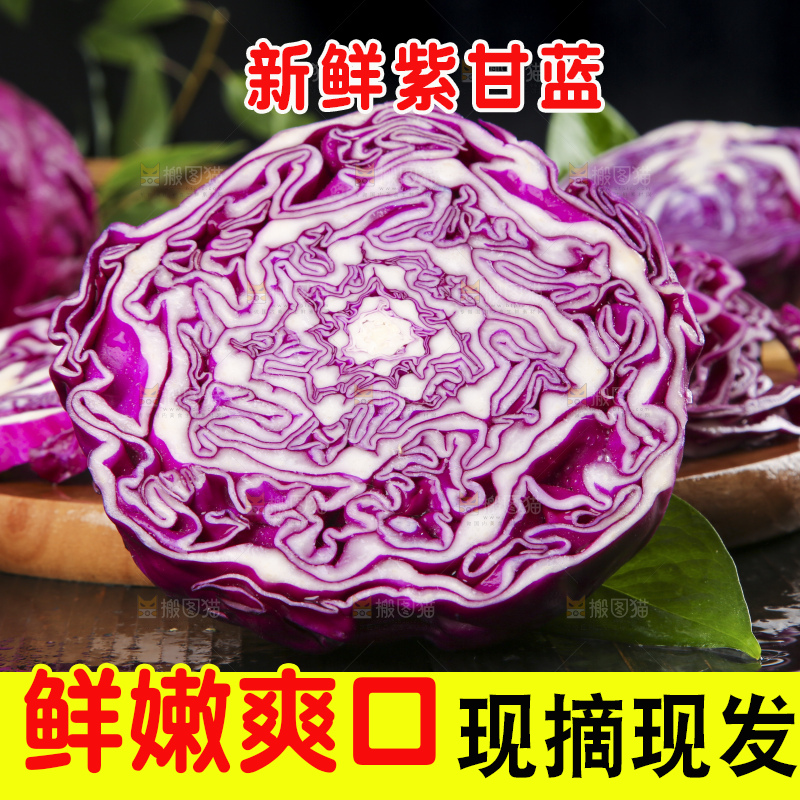 深底上的紫甘蓝