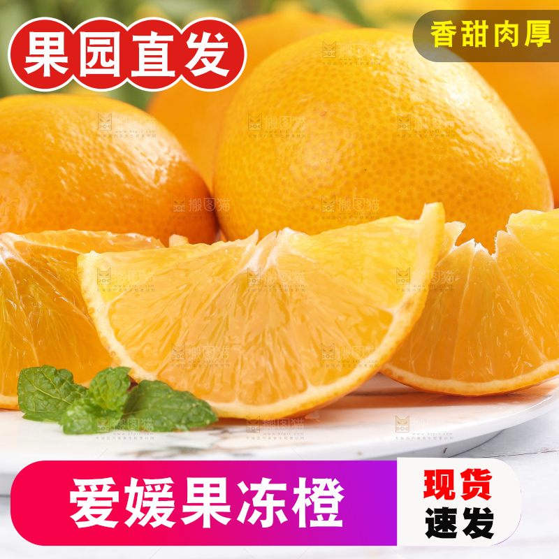 浅底上的爱媛果冻橙