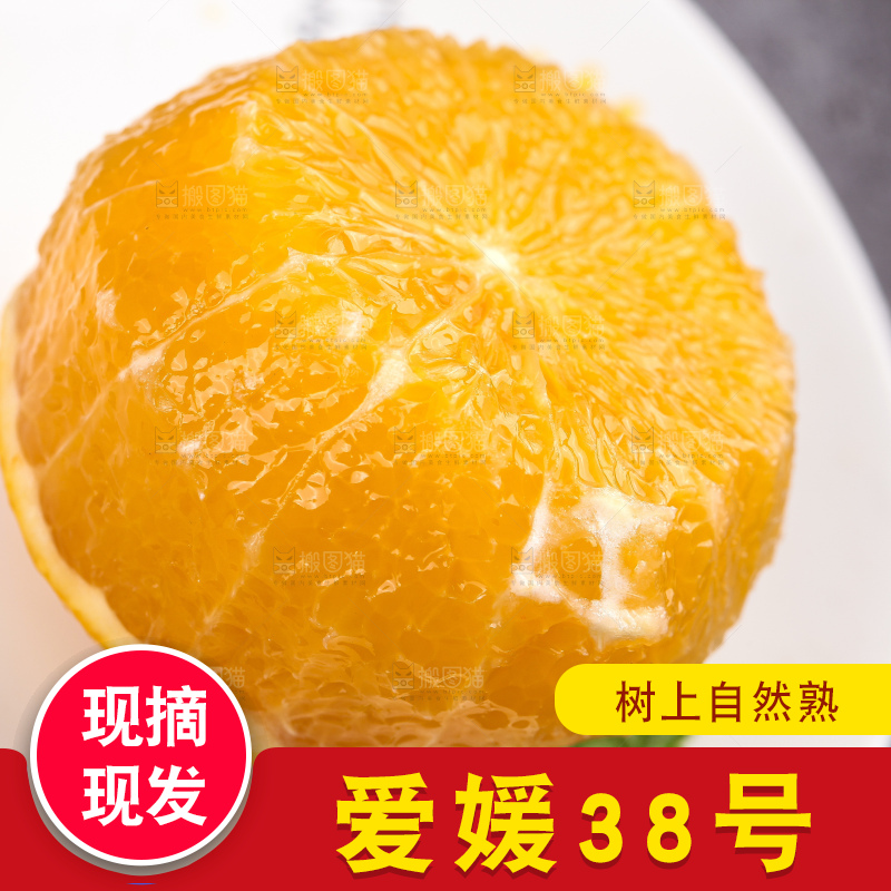 深底上的爱媛果冻橙
