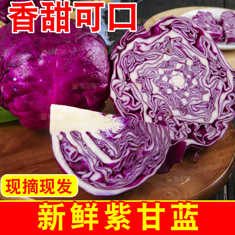 深底上的紫甘蓝