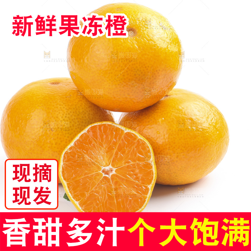 白底上的爱媛果冻橙