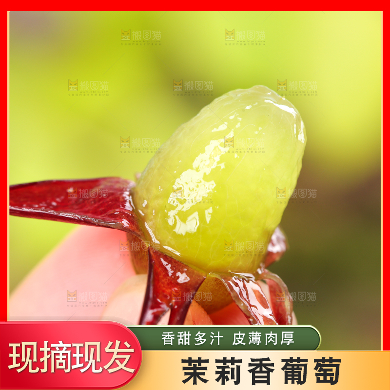 木底上的茉莉香葡萄