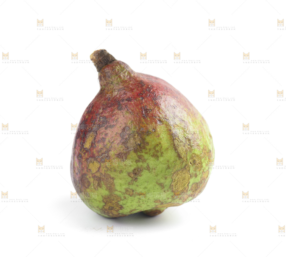 白底上的茶籽