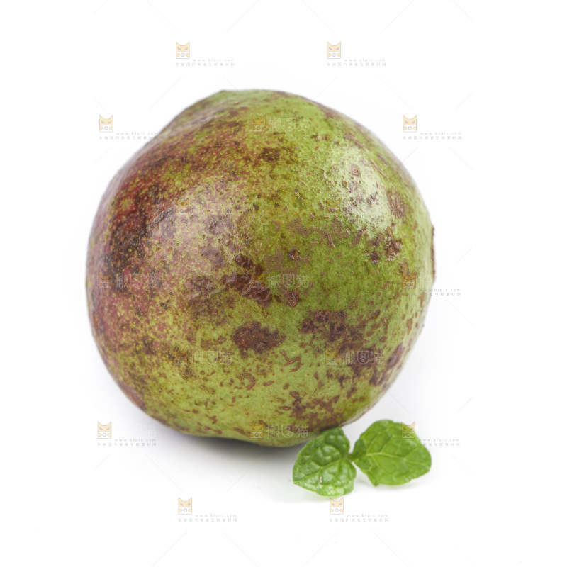 白底上的茶籽