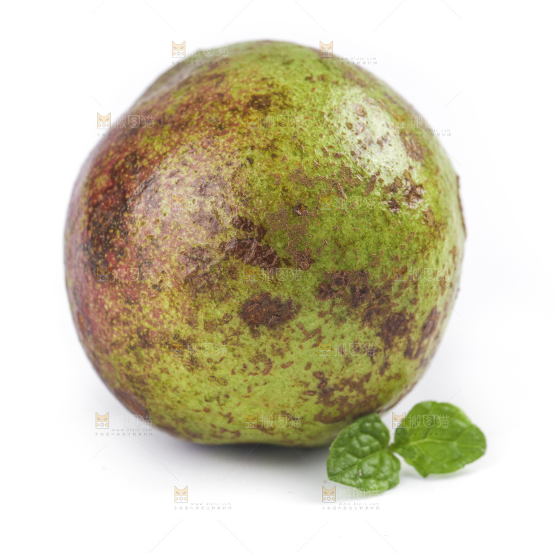 白底上的茶籽