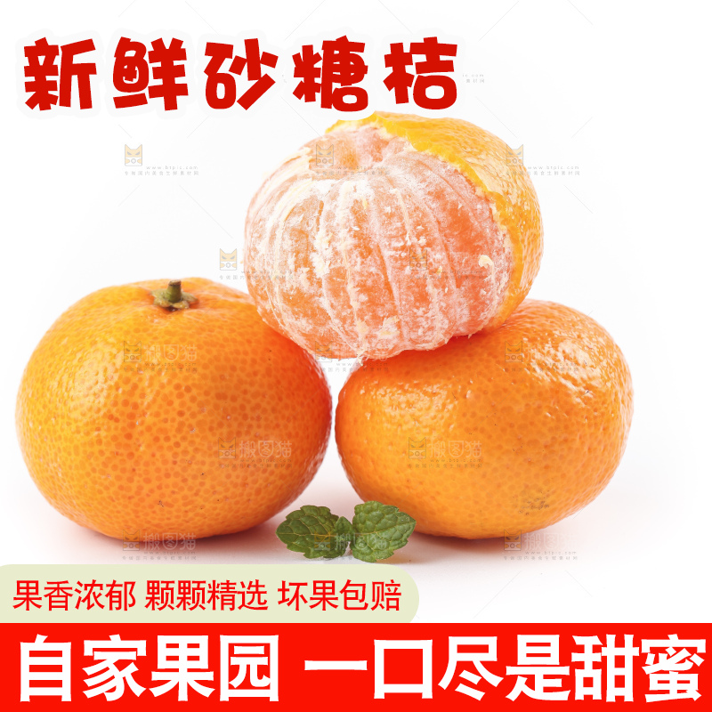 白底上的砂糖桔