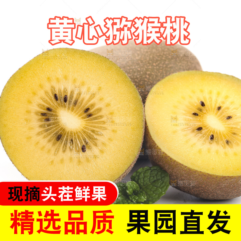 白底上的黄心猕猴桃
