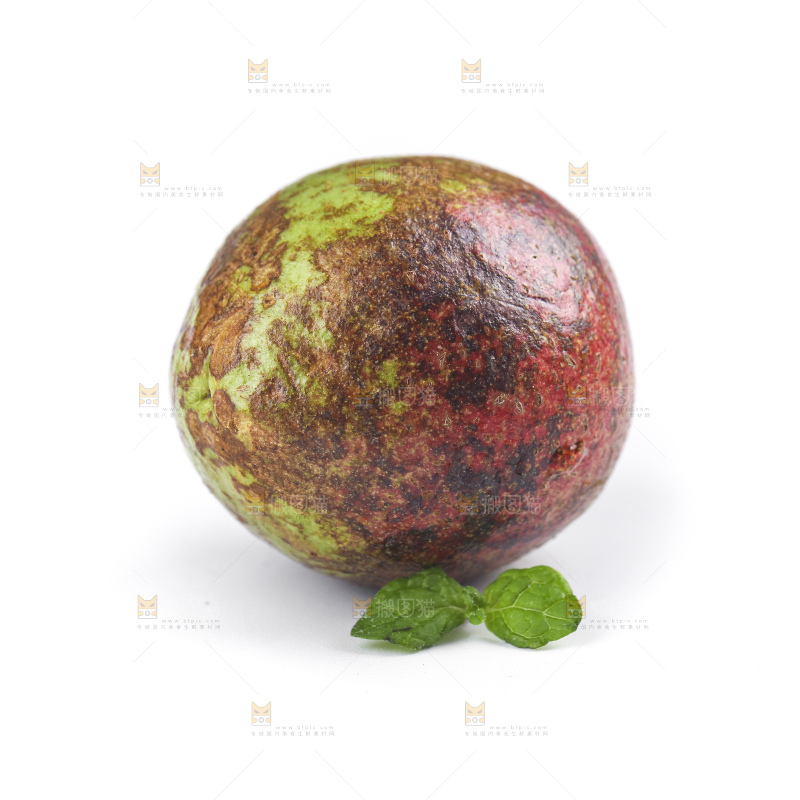 白底上的茶籽