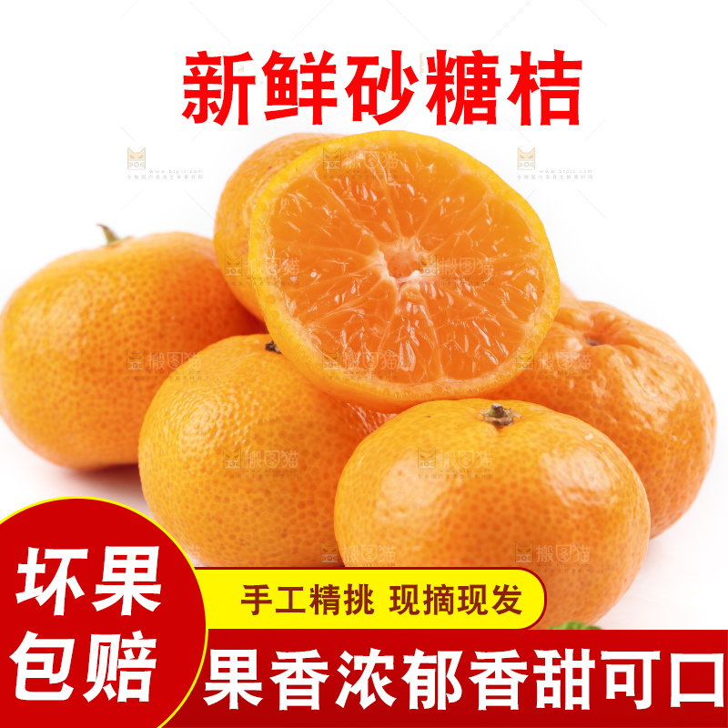 白底上的砂糖桔