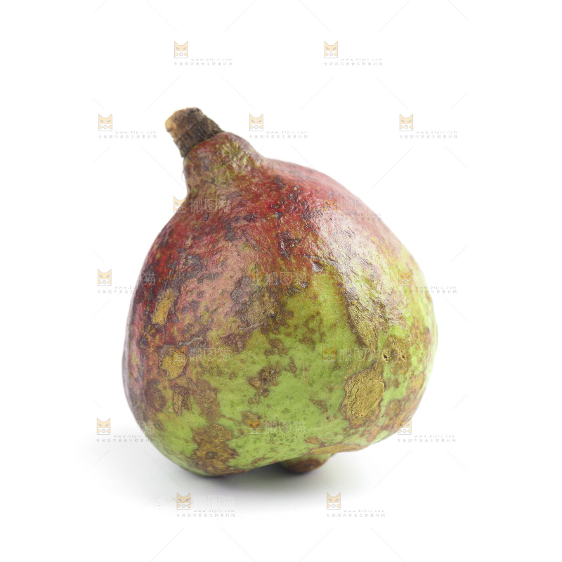 白底上的茶籽