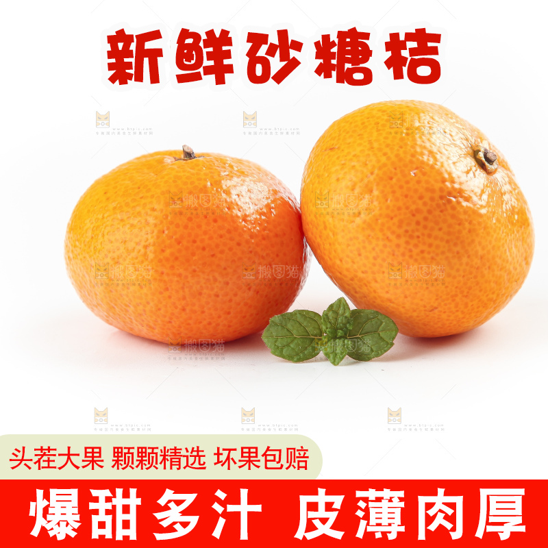 白底上的砂糖桔