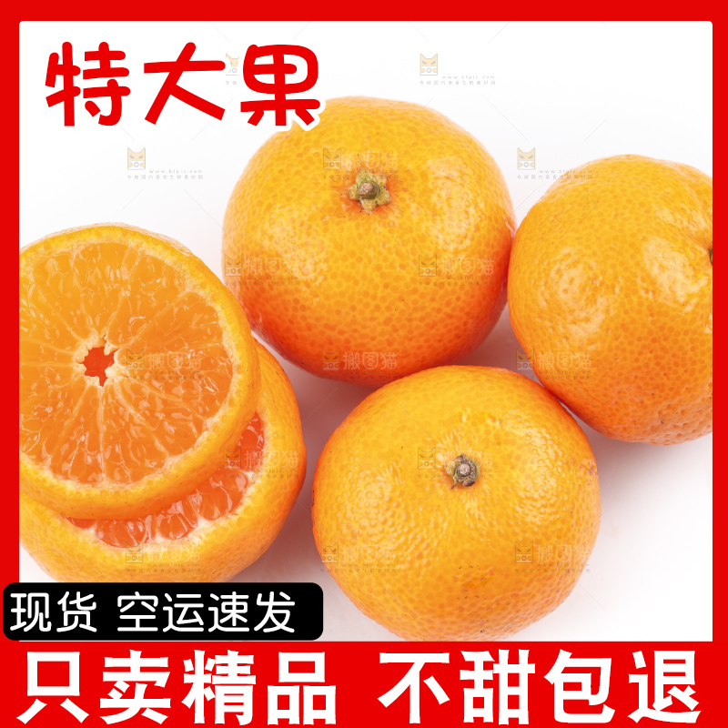 白底上的砂糖桔