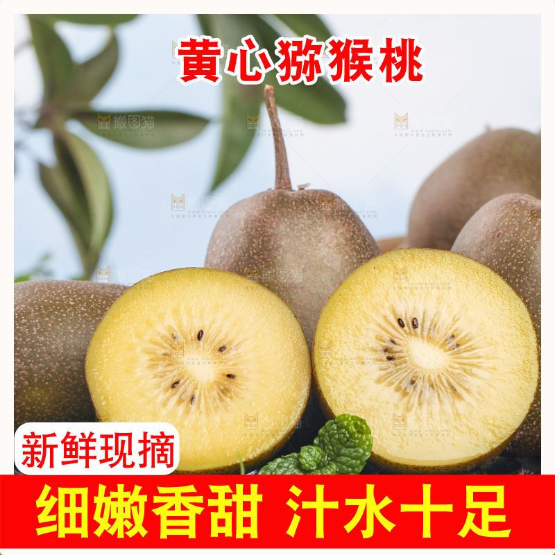 草地上的黄心猕猴桃