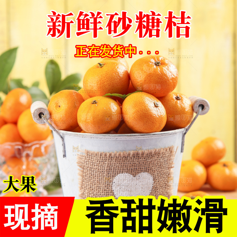 浅底上的沙糖桔