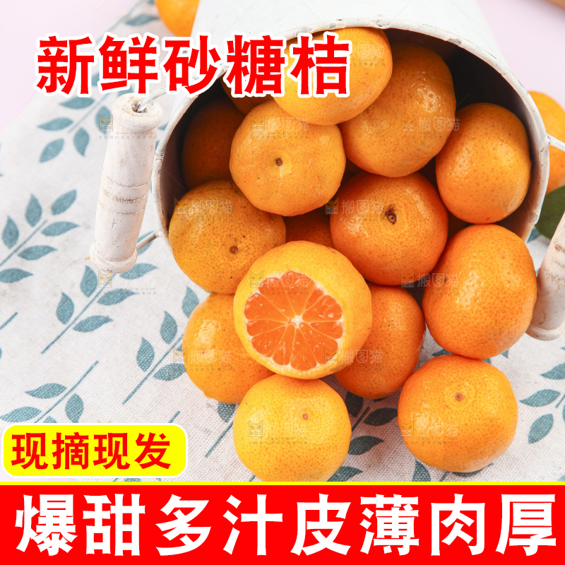 浅底上的沙糖桔