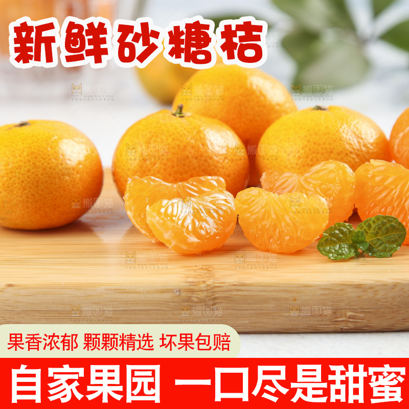 浅底上的沙糖桔