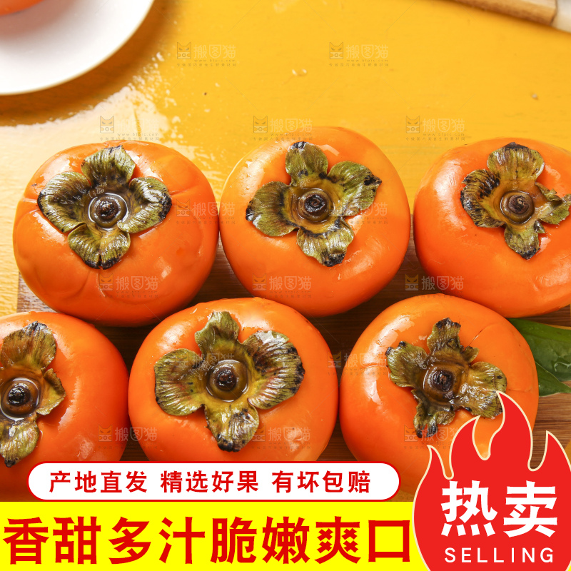 浅底上的脆柿