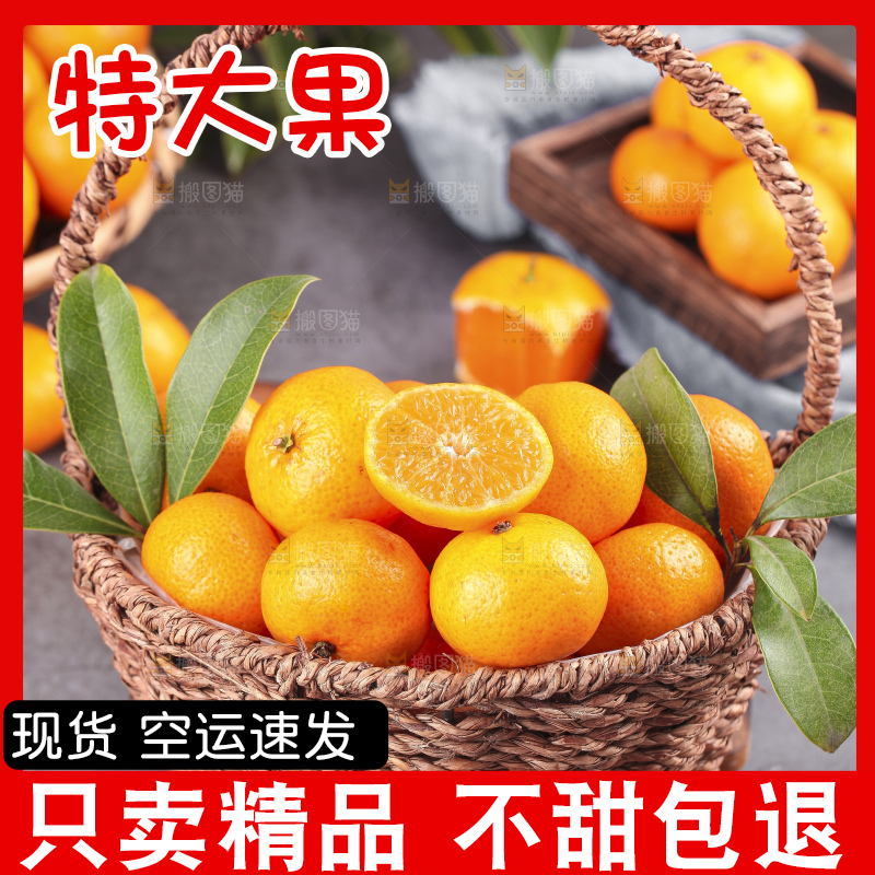 深底上的沙糖桔