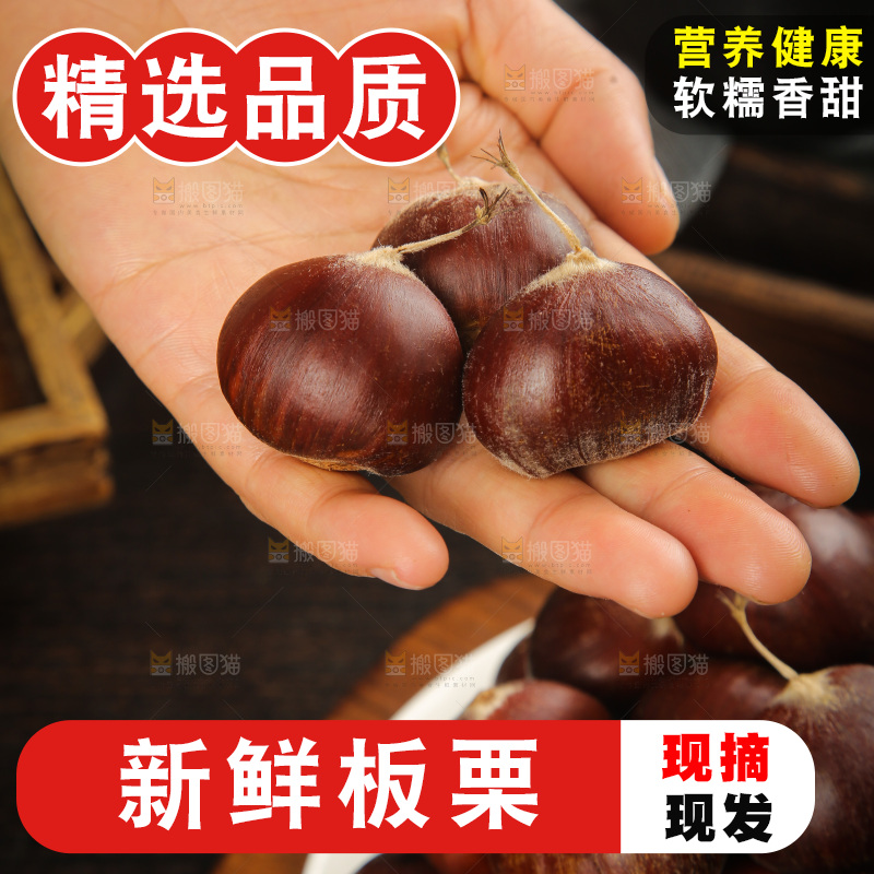 深底上的新鲜板栗