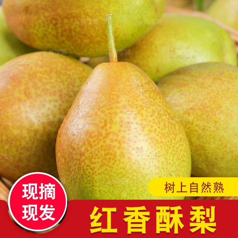 浅底上的红香酥梨