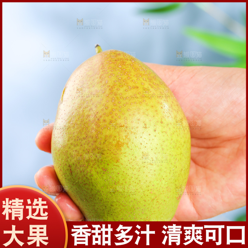 浅底上的红香酥梨