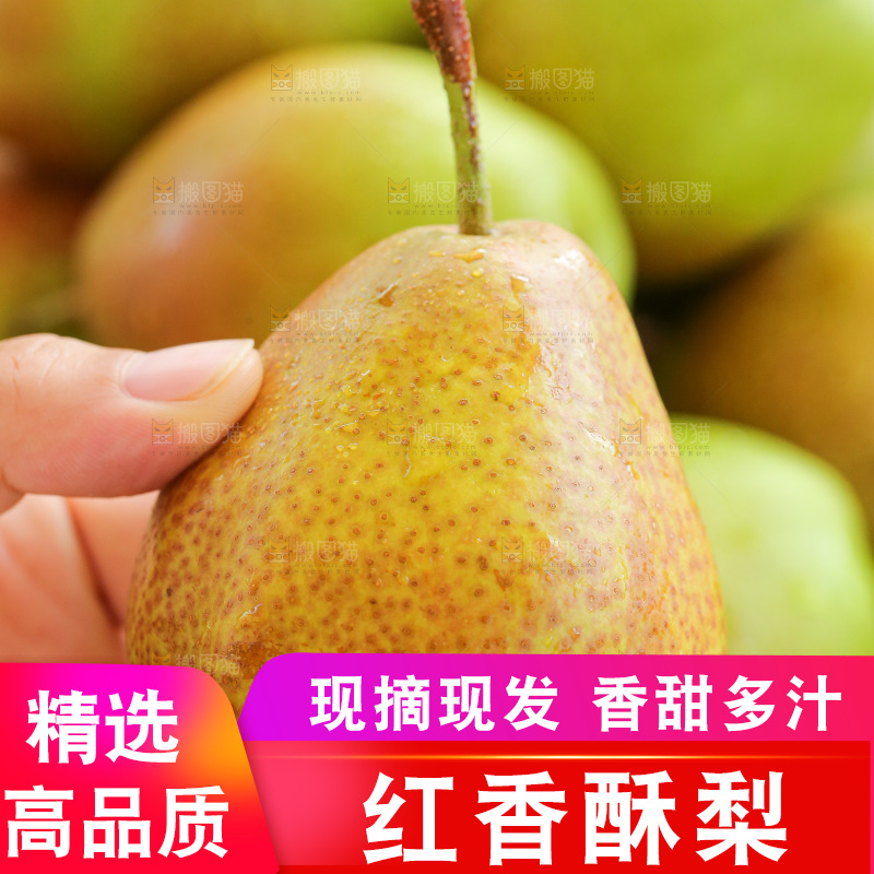手里拿着红香酥梨