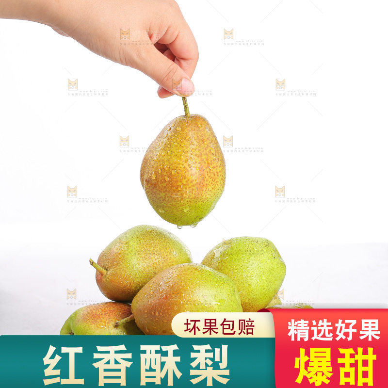 白底上的红香酥梨